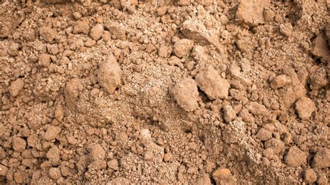 easy ways  improve  soil