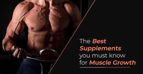 The Best supplements You Must Know For Muscle Growth in 2021 | Muscle ...