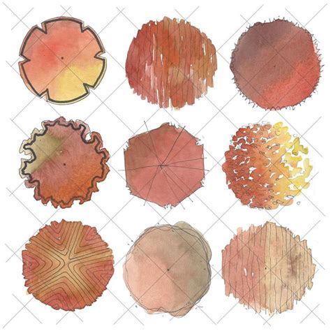 Landscape Graphics Plan View Trees Watercolor Red Variety - Etsy ...