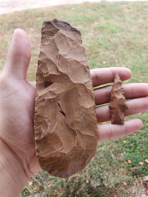 652 best Middle TN images on Pholder | Whatsthissnake, Mycology and