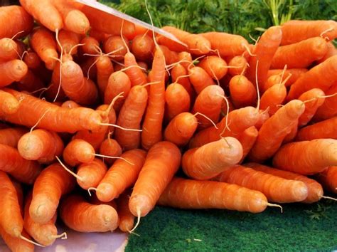 premium photo close   carrots