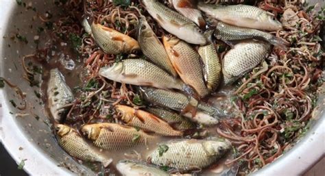 goi ca nhay mon  nguoi khen nguoi khong dam thu cua son la  dep