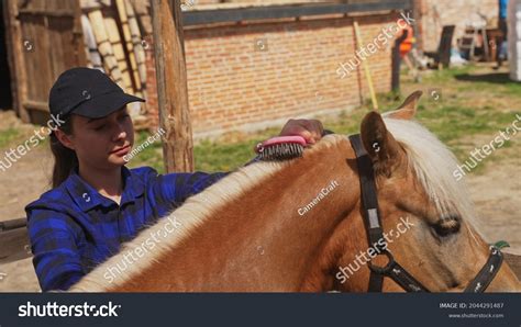 Mane Brush: Over 1,244 Royalty-Free Licensable Stock Photos | Shutterstock