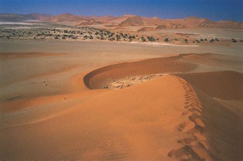 desert adaptation ecosystems communities britannica