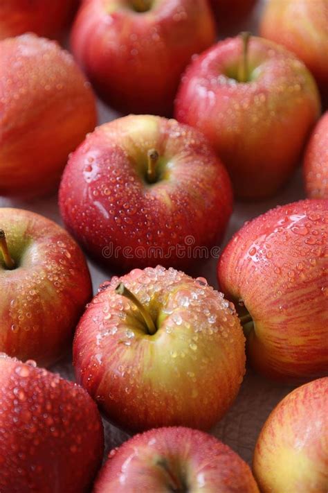 cluster fresh apples ai generated stock   royalty