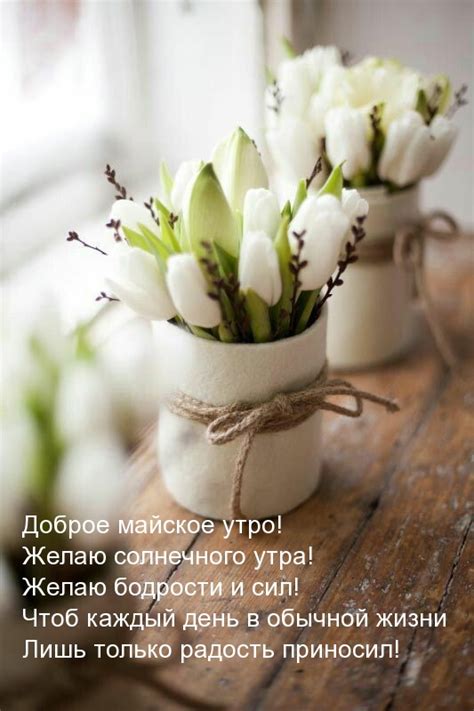 Картинки доброе майское утро (100 шт.)