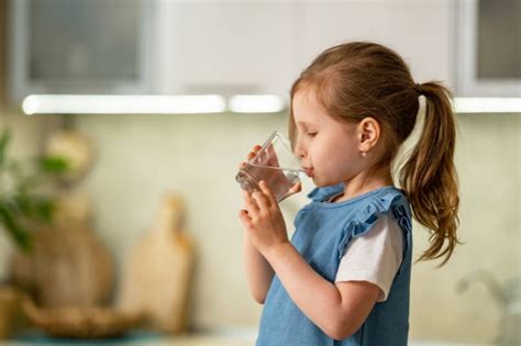 Inline Water Filtration | WFA