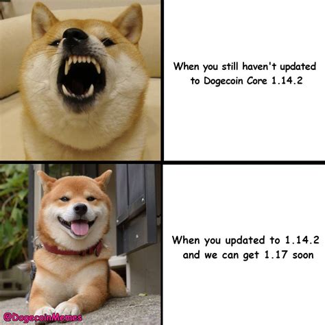 Doge Coin Memes - Doge Know Your Meme - Similar to bitcoin and its derivatives, dogecoin can be ...