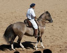 criollo 3 | Flickr - Photo Sharing! Gaucho, Horse Saddles, Horse Tack, Pony, Fleet Farm, Draft ...