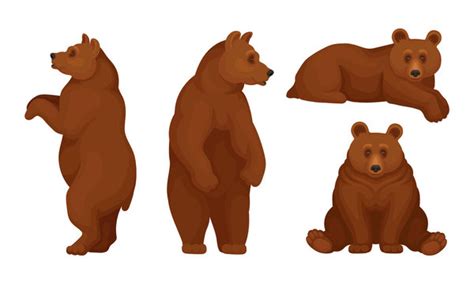 Standing Bear Drawing Images – Browse 299 Stock Photos, Vectors, and ...