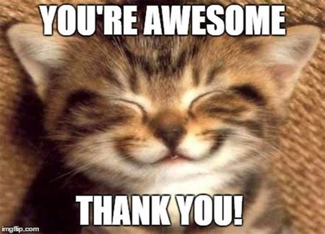 101 Funny Thank You Memes