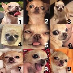 56 How are you feeling today memes ideas | how are you feeling, memes