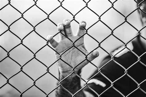 Racism, Police Violence and Mass Incarceration | LSE Human Rights
