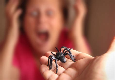 Woman's Hilarious Reaction to Fake Spider Has Internet in Stitches ...