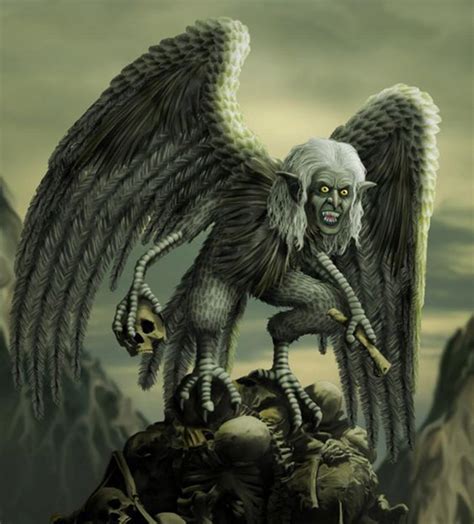 Meet The Harpy Eagle, Named After A Monster In Greek Mythology