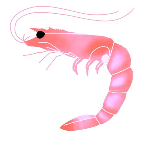 Controversial Hannah Owo Designs Surface Online | ICRW — Creator