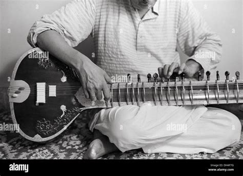 indian classical musical instruments sitar stock  indian