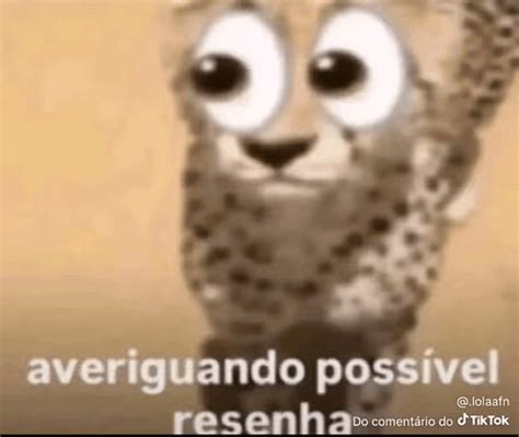 Resenha Averiguando Possivel Resenha Meme - Resenha Averiguando