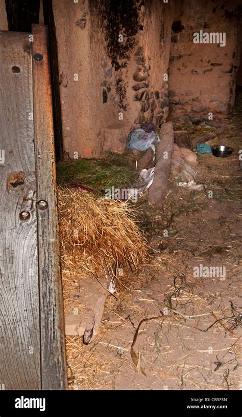 stable  manger  res stock photography  images alamy