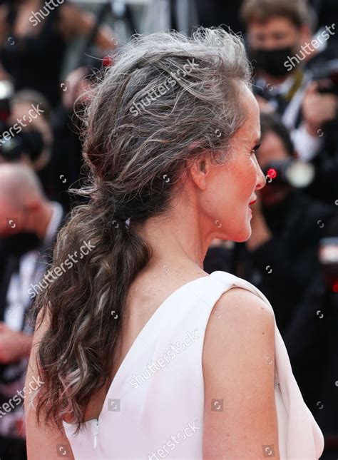 ANDIE MACDOWELL Editorial Stock Photo - Stock Image | Shutterstock