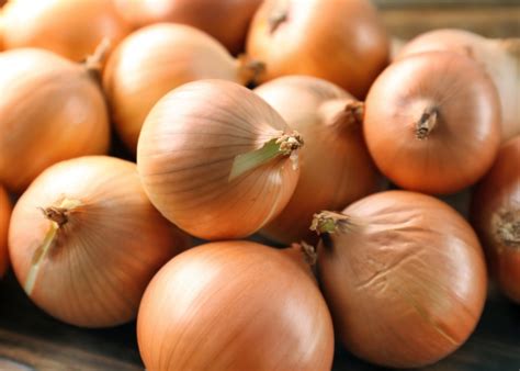 Cebola É Legume Ou Verdura - Cebola é legume ou verdura? - Marmitex de Sucesso