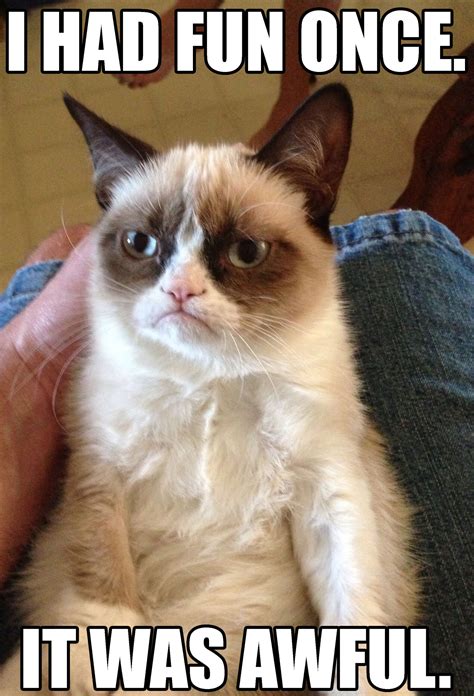 GrumpyCat.meme