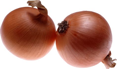 Onion-Eyed Slang at James Saavedra blog