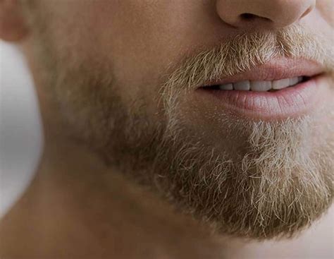 Beard Looks Ideas Beard Hair And Beard Styles Beard Styles | My XXX Hot ...