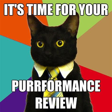[Image - 100094] | Business Cat | Know Your Meme