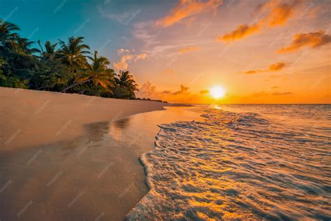 Premium Photo | Beautiful panoramic sunset tropical paradise beach ...