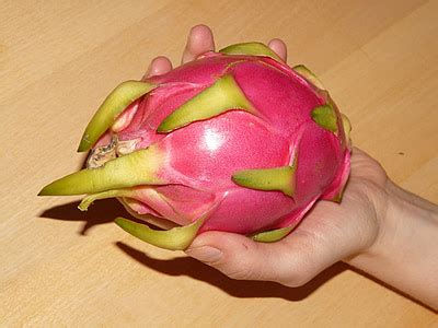 photo pitaya fruit purple asia tropical hippopx