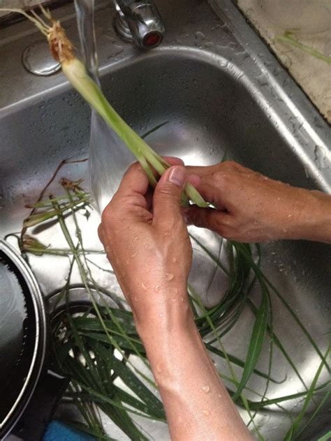 how to make lemon grass tea