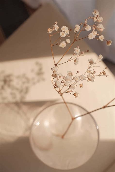 soft beige floral shadowjpg wallpaper wallpaperscom