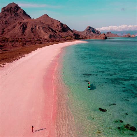 Pink Beach (Pantai Merah) | What to do & how to get there | Komodo Island