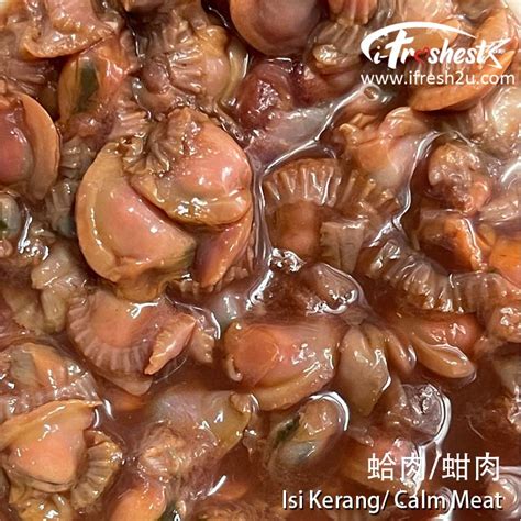 isi kerang ifreshu