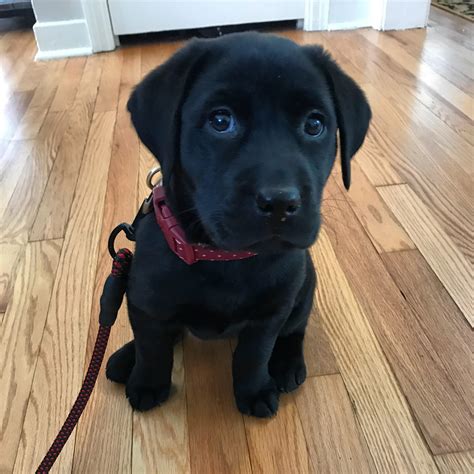 56 best Elaine Benes images on Pholder | Seinfeld, Aww and Justice For