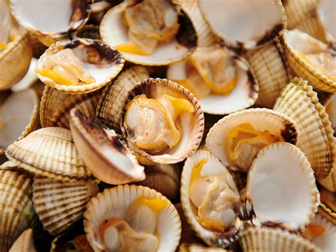 cockles    cook  chao pescao