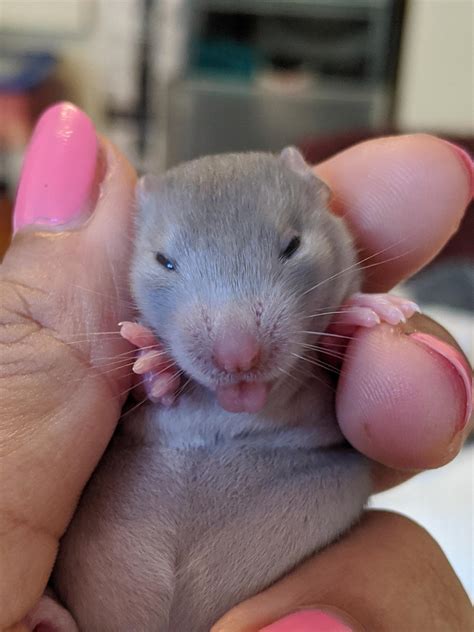 Eyes opening early! | Scrolller