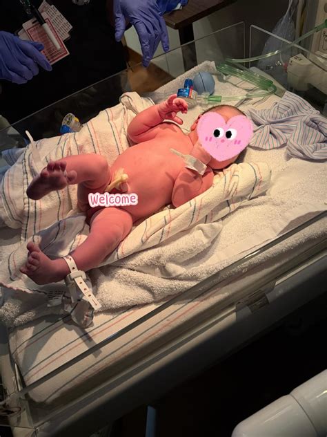 Southern California Surrogacy | Irvine CA