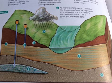 Diagram of The Water Table (diagram) | Quizlet