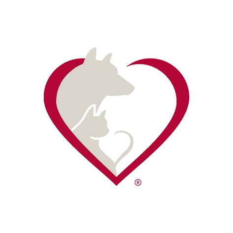 🐾 Cat Facts | Part 3: Cat Colonies 🐾 Feral and community cats often