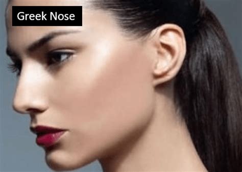 sniff    types  nose shapes explained