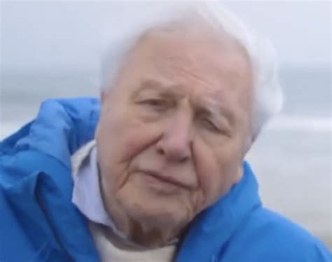 David Attenborough Age Health Update