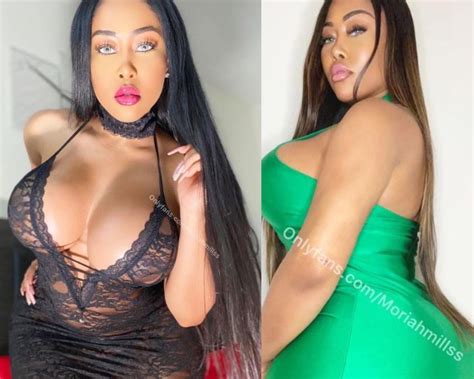 La actriz de cine para adultos que asegura haberse acostado con una