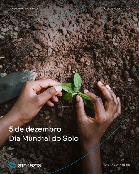 O Solo É Um Recurso Renovável - Hoje é o Dia Mundial do Solo, um dos recursos mais valiosos do planeta ...