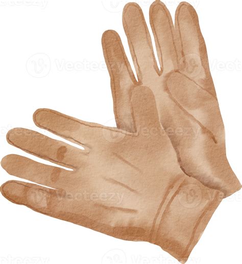 watercolor leather gloves  png