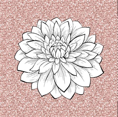 Dahlia Flower SVG