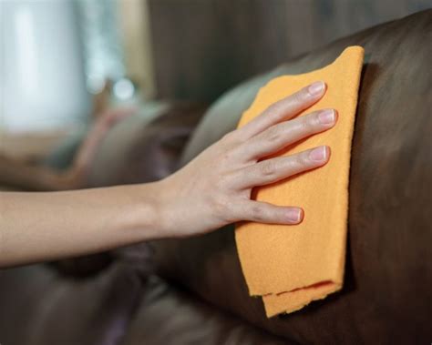 how to get dog scratches out of leather