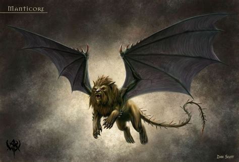 manticore mythical creatures mythological creatures