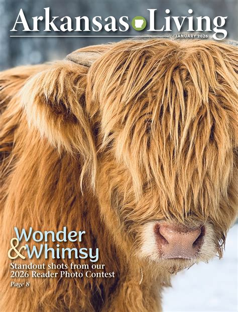 Arkansas - 🍪 Feeling dough-ful about finding this month's hidden item